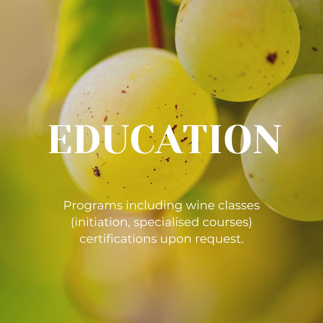 Education Wine Stays